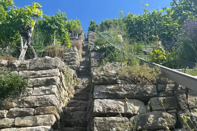 Steilterrassen Württemberg